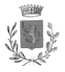 Logo Comune di Martellago